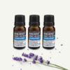 Pack-of-3-Lavender-Essential-Oil-10ml
